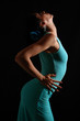 Flamenco dancer girl posing Flamenco dancer girl posing
