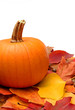 Pumpkin, leaves and acorns isolated on white Pumpkin, leaves and acorns isolated on white