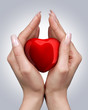 Female hands with red heart