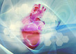 herz biologie hintergrund herz biologie hintergrund