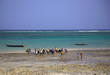 Locals buying fish on the beach Mombassa Kenya Africa Locals buying fish on the beach Mombassa Kenya Africa