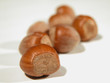 nocciole