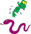 Frog and Snake 