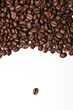 Kaffeebohnen