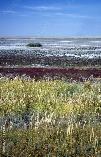 Foto: colourful sight of a dried up salt lake in steppe of Kazakhstan colourful sight of a dried up salt lake in steppe of Kazakhstan