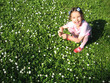 Girl is gathering flowers Girl is gathering flowers