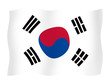 Flag of South Korea 
