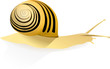 escargot escargot