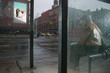 Man sitting in bus shelter Man sitting in bus shelter