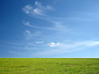 Blue sky and green grass for successful advertisement