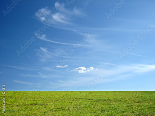 blue sky and green grass for successful advertisement