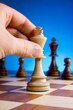 chess chess