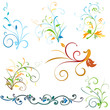  floral elements