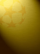 Football stars 4