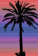 dattier sur fond de nuit tropicale