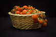 Pachino's tomato