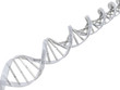 dna