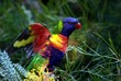 bright colors 3.