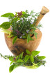 Healing herbs and edible flowers
