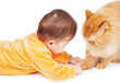 Baby and cat isolated on white Baby and cat isolated on white