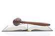 Gavel and book reflected on white background. Shallow DOF.. Gavel and book reflected on white background. Shallow DOF..