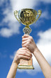 Pokal