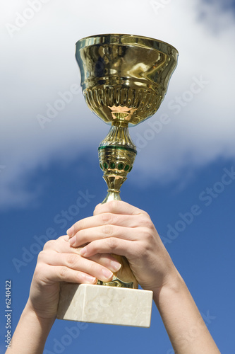 Pokal