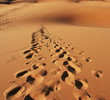 Footprints on the sand