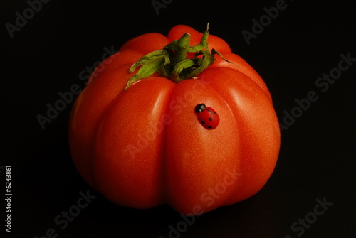 pomodoro