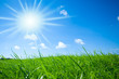 summer background summer background