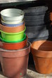 Plant Pots
