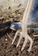 Digging