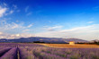 Landscape in Provence, France