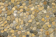 Fragment of sea shell rocks stucco background Fragment of sea shell rocks stucco background