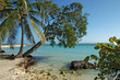 Plage de Guadeloupe