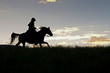 Cowboy riding acroos a Montana ridge at first light Cowboy riding acroos a Montana ridge at first light