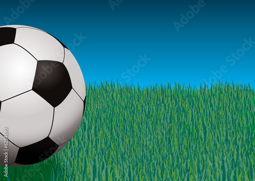 Illustration: Illustration of a football against some grass and blue sky Illustration of a football against some grass and blue sky