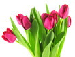 Bouquet de tulipes Bouquet de tulipes