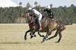 Polo players on opposing teams atop the ball