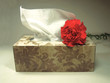 Soft as a Rose on your nose
