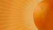 Fruit Burst Series - Orange Fruit Burst Series - Orange