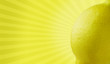 Fruit Burst Series - Lemon Fruit Burst Series - Lemon