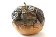 Apple.