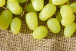 Vine grapes on burlap Vine grapes on burlap