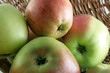 apples in basket apples in basket