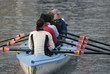championnat d'aviron,cote d'azur