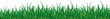 Green grass of different shades on a white background