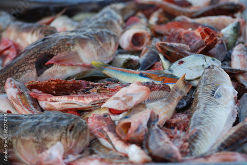 soupe poisson