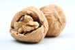 nut