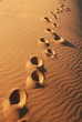Footprints on the sand